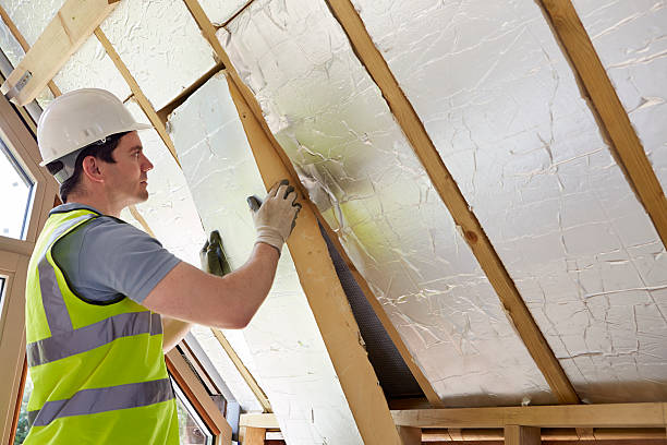 Best Eco-Friendly Insulation in Visalia, CA