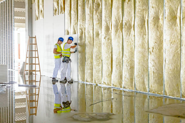 Best Residential Insulation in Visalia, CA